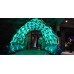 VIP Entrance Tunnel Balloon Arch